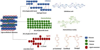 Recent Trends in the Pretreatment of Lignocellulosic Biomass for Value-Added Products